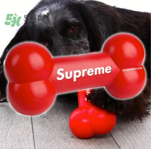 supreme狗骨頭玩具是真的嗎？supreme骨頭玩具會(huì)發(fā)售嗎？