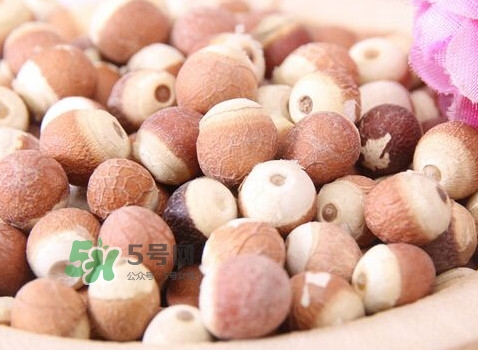 雞頭米是涼性的嗎？雞頭米是哪里的特產(chǎn)