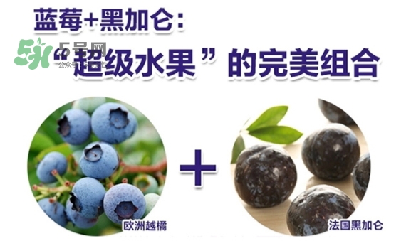 fancl藍(lán)莓護(hù)眼怎么樣？fancl藍(lán)莓護(hù)眼和pola護(hù)眼哪個(gè)好