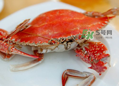 梭子蟹可以清蒸嗎？梭子蟹蒸還是煮？