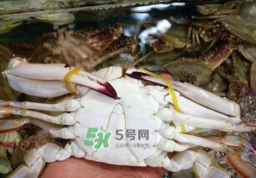 梭子蟹放冷藏還是冷凍？梭子蟹可以放速凍嗎？