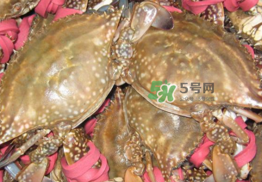 梭子蟹放冷藏還是冷凍？梭子蟹可以放速凍嗎？