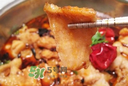 龍利魚有寄生蟲嗎？龍利魚有假的嗎
