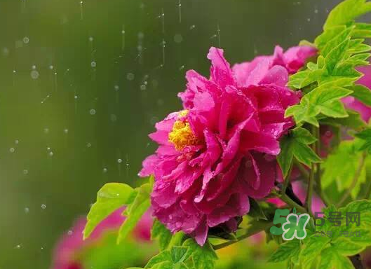 2017處暑會(huì)下雨嗎？處暑會(huì)下雨好嗎？