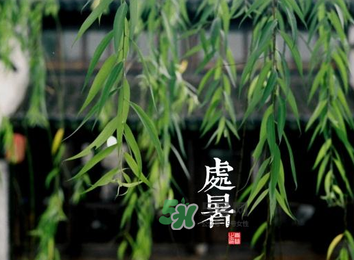 2017處暑還熱嗎？2017處暑后天氣還熱嗎？