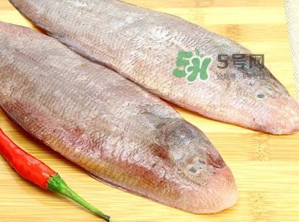寶寶多大能吃龍利魚？幾個月的寶寶可以吃龍利魚