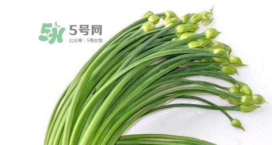 韭菜苔孕婦能吃嗎？孕婦可以吃韭菜苔嗎