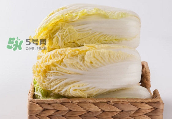 娃娃菜是什么季節(jié)的？娃娃菜什么時候種植