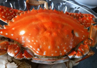 梭子蟹可以清蒸嗎？梭子蟹蒸還是煮？