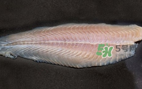 龍利魚是淡水魚嗎？龍利魚是巴沙魚嗎