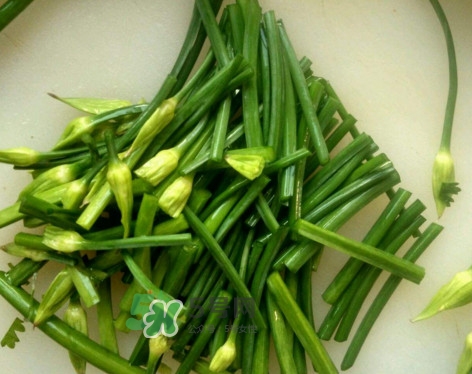 韭菜苔孕婦能吃嗎？孕婦可以吃韭菜苔嗎