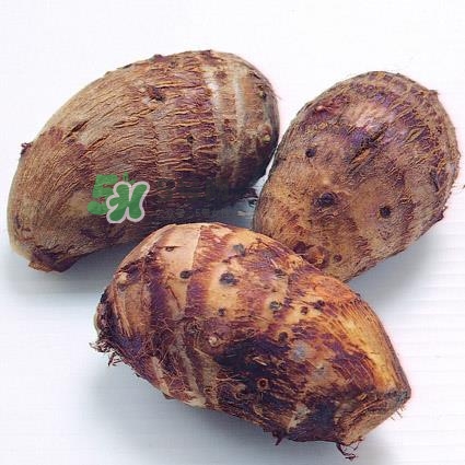 中秋節(jié)為什么吃芋頭？中秋節(jié)吃芋頭的來源