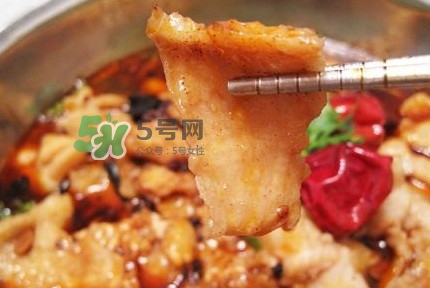 龍利魚有刺嗎？龍利魚有魚鱗嗎