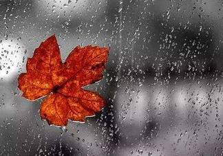 2017處暑會(huì)下雨嗎？處暑會(huì)下雨好嗎？