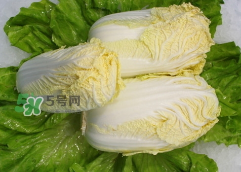 娃娃菜可以放冰箱嗎？娃娃菜可以放多久