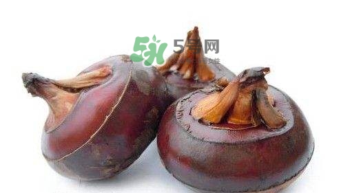 野荸薺怎么吃？野荸薺的食用功效