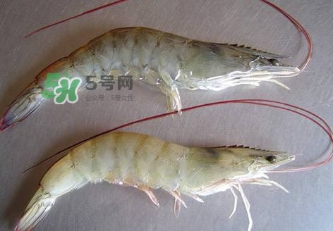 太湖白蝦多少錢一斤？太湖白蝦干多少錢一斤