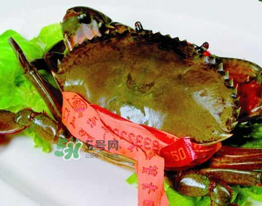 青蟹能放幾天？青蟹能活多久？