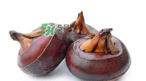 吃荸薺有什么好處？吃荸薺的禁忌