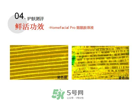 homefacialpro煙酰胺原液怎么樣？hfp煙酰胺原液好用嗎
