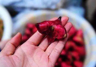 紅菱怎么吃？吃紅菱有什么好處？