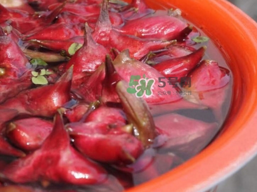 紅菱什么時候上市？什么時候采紅菱