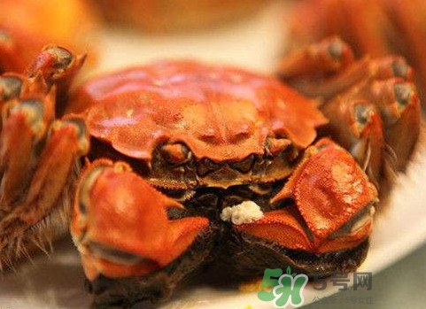太湖蟹什么時(shí)候上市？太湖蟹幾月份有