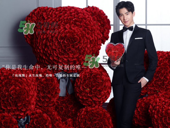 roseonly熊怎么樣？roseonly玫瑰熊好看嗎？