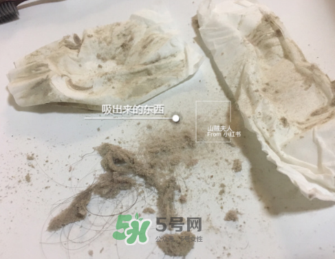 除螨儀真的能除螨嗎？除螨儀到底有沒有用？