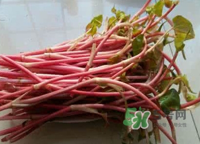 魚腥草一次吃多少最好？魚腥草一天吃多少合適