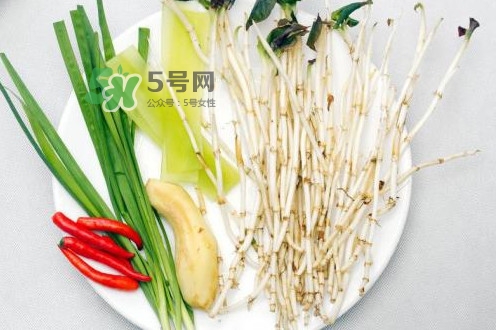 魚腥草用開水泡可以嗎？魚腥草用量多少克？