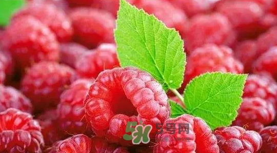 pola莓果酵素怎么吃？pola紅莓酵素怎么樣？