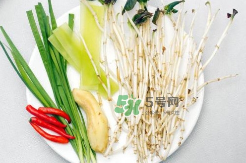 魚腥草什么季節(jié)有？魚腥草什么時候采摘最好