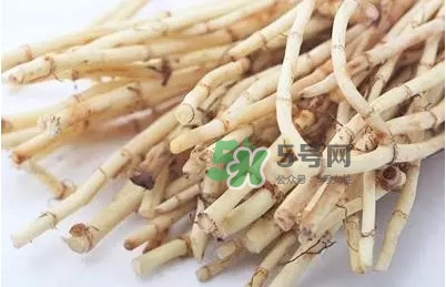 魚腥草什么季節(jié)吃最好？魚腥草什么時候吃最好