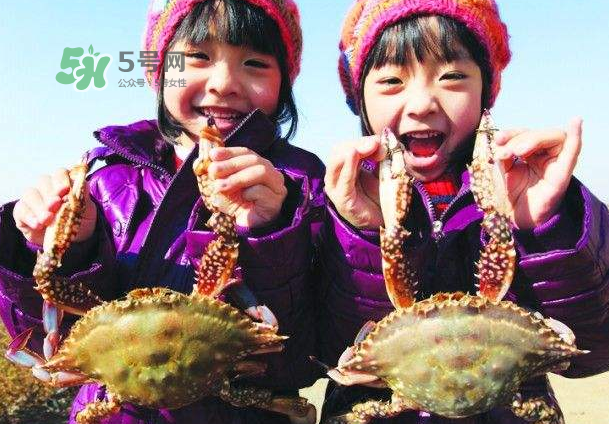 青島梭子蟹多少錢一斤？青島梭子蟹什么時候上市？