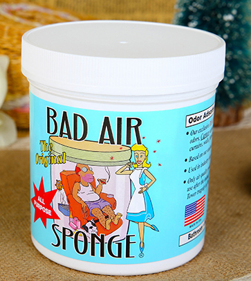 Bad Air Sponge有用嗎？Bad Air Sponge效果如何？