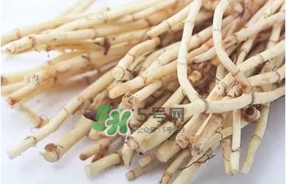 折耳根怎么清洗？折耳根如何冼才干凈