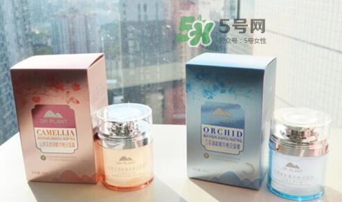 植物醫(yī)生睡眠面膜怎么樣？植物醫(yī)生晚安面膜價(jià)格