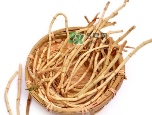 折耳根有毒嗎？折耳根有毒吃了會傷腎？