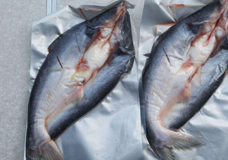 巴沙魚到底能不能吃？吃巴沙魚有什么危害嗎