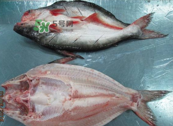 巴沙魚(yú)是鯰魚(yú)嗎？巴沙魚(yú)是海魚(yú)嗎
