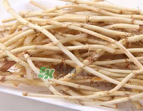 經(jīng)常吃折耳根有什么好處？折耳根的用法用量