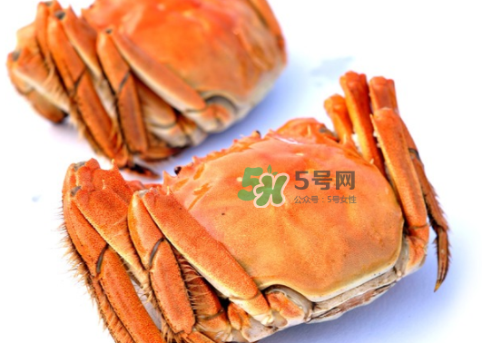 板蟹蒸多長時(shí)間？板蟹蒸多久時(shí)間能熟？