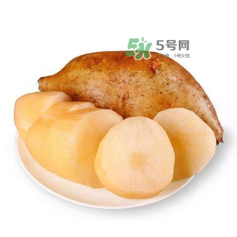 雪蓮果怎么挑？雪蓮果怎么儲存方法？