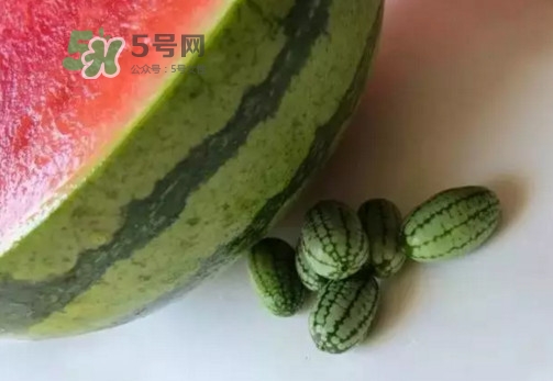 拇指西瓜什么時候上市？拇指西瓜什么時候成熟