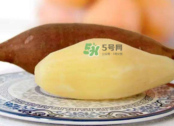 雪蓮果是地瓜嗎？雪蓮果和紅薯的區(qū)別