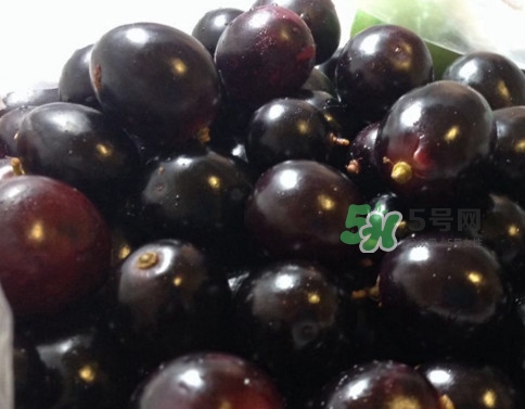 烏梅是綠色的正常嗎？烏梅是綠色的能吃嗎