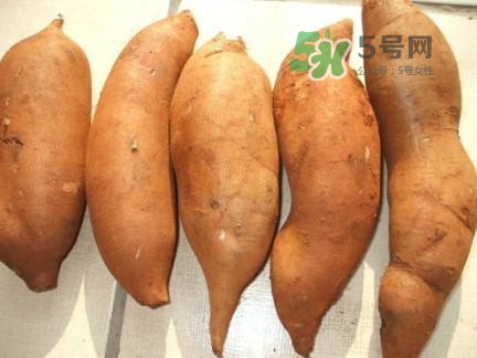 雪蓮果是水果嗎？雪蓮果是什么季節(jié)的水果？