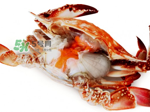 吃梭子蟹會胖嗎？梭子蟹吃了會胖嗎？ 