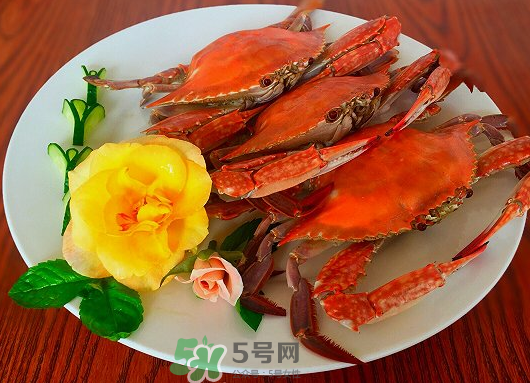 吃梭子蟹會胖嗎？梭子蟹吃了會胖嗎？ 